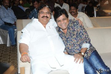 Malupu Movie Audio Launch